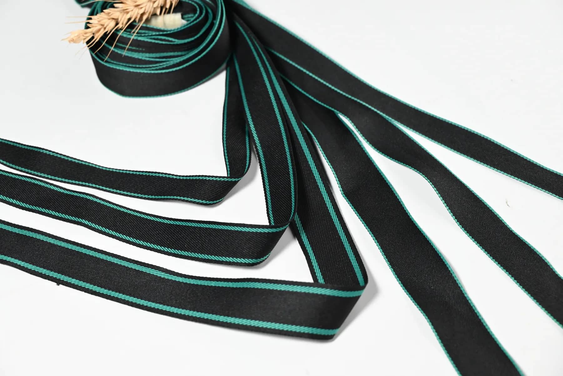 Webbing developed for apparel and accessory applications